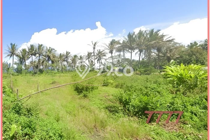 Tanah Kavling Hunian Magelang, Utara Pasar Sraten, SHM Tanah Kavling Hunian Magelang, Utara Pasar Sraten, SHM