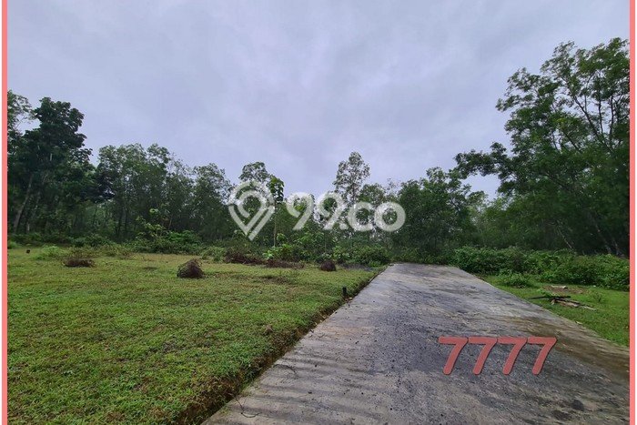 Tanah Kavling Langsung Akad Di Jogja Barat, Dekat Polsek Panjatan Tanah Kavling Langsung Akad Di Jogja Barat, Dekat Polsek Panjatan