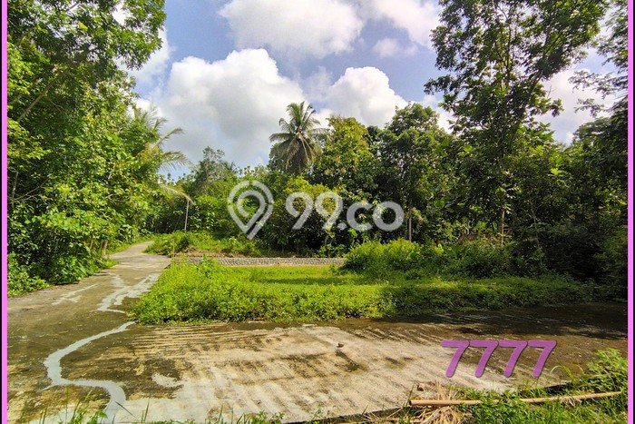 Tanah Kavling Siap Ajb, Di Jogja Barat, Dekat Man 2 Kulon Progo Tanah Kavling Siap Ajb, Di Jogja Barat, Dekat Man 2 Kulon Progo