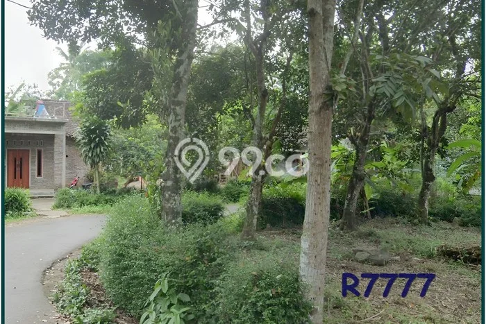 Tanah Murah Magelang, Dekat Polsek Borobudur, Pas Hunian Tanah Murah Magelang, Dekat Polsek Borobudur, Pas Hunian