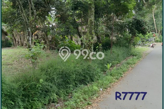 Tanah Murah Magelang, Dekat Polsek Borobudur, Pas Hunian Tanah Murah Magelang, Dekat Polsek Borobudur, Pas Hunian