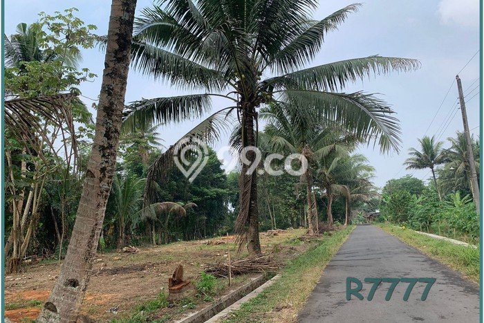 Tanah Borobudur, Dekat Polresta Magelang, Cocok Bangun Villa Tanah Borobudur, Dekat Polresta Magelang, Cocok Bangun Villa