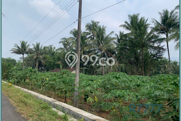 Tanah Borobudur, Dekat Polresta Magelang, Cocok Bangun Villa Tanah Borobudur, Dekat Polresta Magelang, Cocok Bangun Villa
