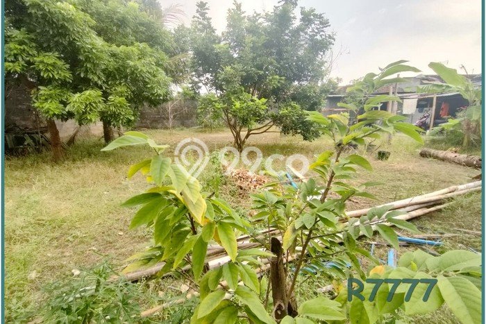 Tanah Jogjakarta, Dekat Kampus Stikes Notokusuman, Hook Tanah Jogjakarta, Dekat Kampus Stikes Notokusuman, Hook