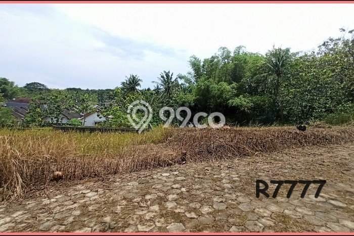 3 Menit Polres Kulonprogo, Jual Tanah Jogja Barat Di Giripeni 3 Menit Polres Kulonprogo, Jual Tanah Jogja Barat Di Giripeni