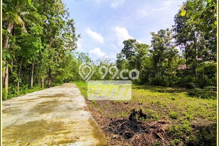 Jual Tanah Murah Di Selatan Rs Panti Rapih Kulon Progo Jual Tanah Murah Di Selatan Rs Panti Rapih Kulon Progo