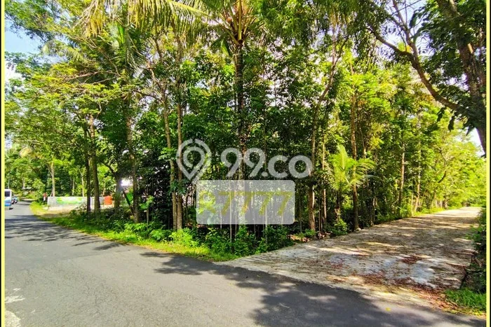 Jual Tanah Murah Di Selatan Rs Panti Rapih Kulon Progo Jual Tanah Murah Di Selatan Rs Panti Rapih Kulon Progo