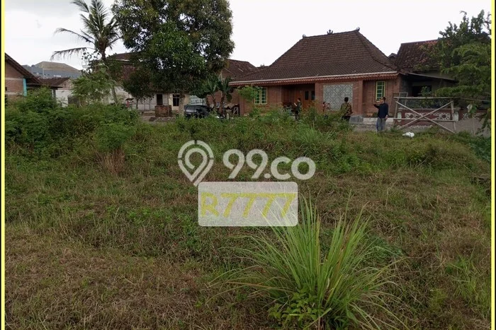 Jual Tanah Murah Di Godean, Dekat Kelurahan Sidokarto Jual Tanah Murah Di Godean, Dekat Kelurahan Sidokarto