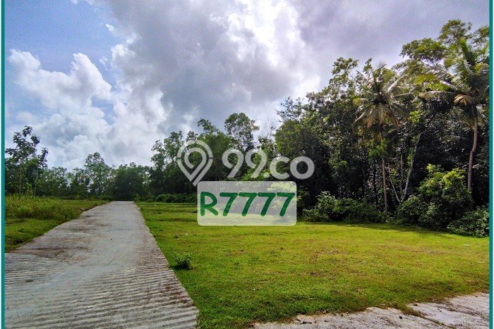 Tanah Dijual Jogja Barat Dekat Puskesmas Panjatan, SHM Ready Tanah Dijual Jogja Barat Dekat Puskesmas Panjatan, SHM Ready