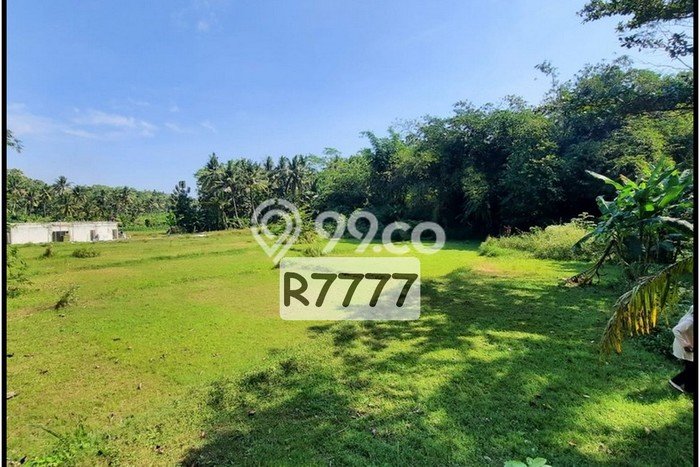 Tanah Murah Yogya Dekat Polsek Sentolo Kulon Progo, SHM Tanah Murah Yogya Dekat Polsek Sentolo Kulon Progo, SHM