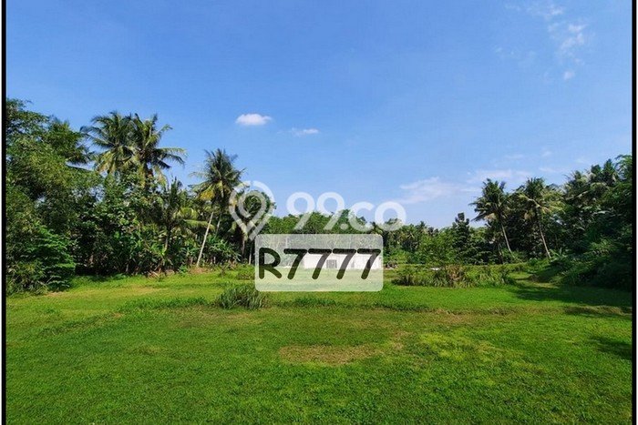 Tanah Murah Yogya Dekat Polsek Sentolo Kulon Progo, SHM Tanah Murah Yogya Dekat Polsek Sentolo Kulon Progo, SHM
