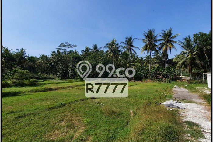 Tanah Murah Yogya Dekat Polsek Sentolo Kulon Progo, SHM Tanah Murah Yogya Dekat Polsek Sentolo Kulon Progo, SHM
