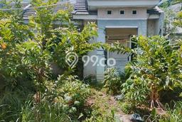 Jual Rumah Murah di Periuk Tangerang Harga Rp 260 Juta LT 60m2 Jual Rumah Murah di Periuk Tangerang Harga Rp 260 Juta LT 60m2