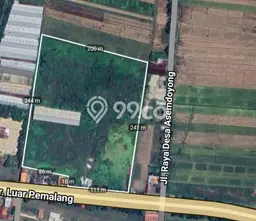 Jarang Ada! Tanah di Pemalang Punya Luas 50000m2 SHM Jarang Ada! Tanah di Pemalang Punya Luas 50000m2 SHM