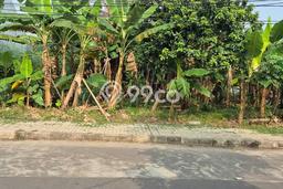 Tanah Kavling untuk Disewa di Serpong Tangerang Selatan 500m2 Tanah Kavling untuk Disewa di Serpong Tangerang Selatan 500m2