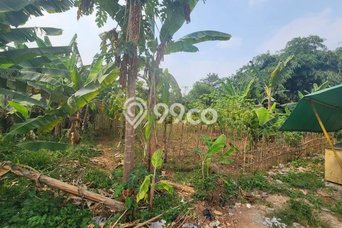 Tanah untuk Disewakan di Pamulang Tangerang Selatan - Tanah untuk Disewakan di Pamulang Tangerang Selatan -