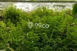 Tanah Dijual Lokasi Serang, Serang dengan Luas Tanah 3200m2 dan Status - Tanah Dijual Lokasi Serang, Serang dengan Luas Tanah 3200m2 dan Status -