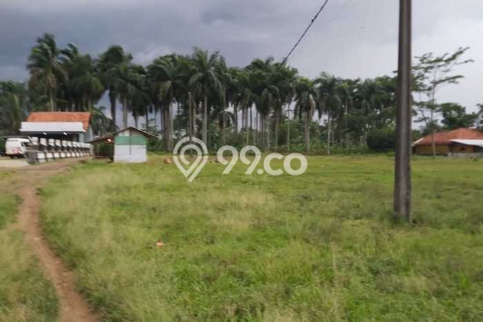 Jual Tanah Lokasi Strategis Kawasan Purwakarta Kota, Luas 130000m², Akses Transportasi Jual Tanah Lokasi Strategis Kawasan Purwakarta Kota, Luas 130000m², Akses Transportasi