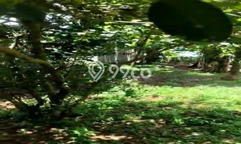 Tanah Lokasi Prima Kawasan Jelupang, Luas 2800m², Kawasan Nyaman, Akses Jelupang, Tangerang, Tangerang Tanah Lokasi Prima Kawasan Jelupang, Luas 2800m², Kawasan Nyaman, Akses Jelupang, Tangerang, Tangerang