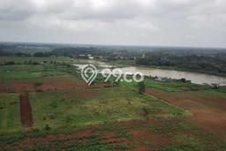 Tanah Kavling untuk Dijual di Subang Subang 15000m2 Tanah Kavling untuk Dijual di Subang Subang 15000m2