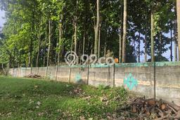 Tanah Kosong Dijual di Bogor dengan Area 3290m2 Tanah Kosong Dijual di Bogor dengan Area 3290m2