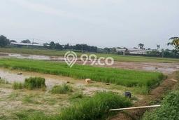 Tanah Kavling di Balaraja Dijual dengan Luas 14150m2 Tanah Kavling di Balaraja Dijual dengan Luas 14150m2