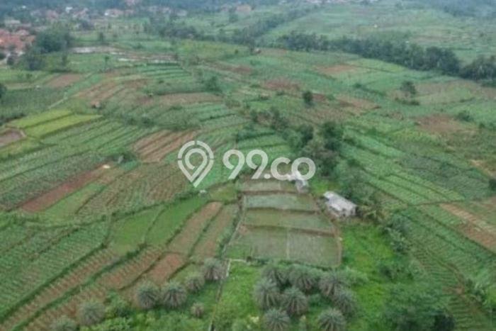Lahan untuk Dijual di Bogor Barat Bogor Luas 5000m2 Lahan untuk Dijual di Bogor Barat Bogor Luas 5000m2