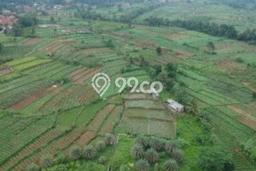 Lahan untuk Dijual di Bogor Barat Bogor Luas 5000m2 Lahan untuk Dijual di Bogor Barat Bogor Luas 5000m2