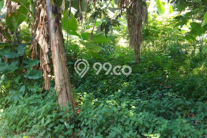 Tanah Kavling untuk Dijual di Pamulang Tangerang Selatan 192m2 Tanah Kavling untuk Dijual di Pamulang Tangerang Selatan 192m2