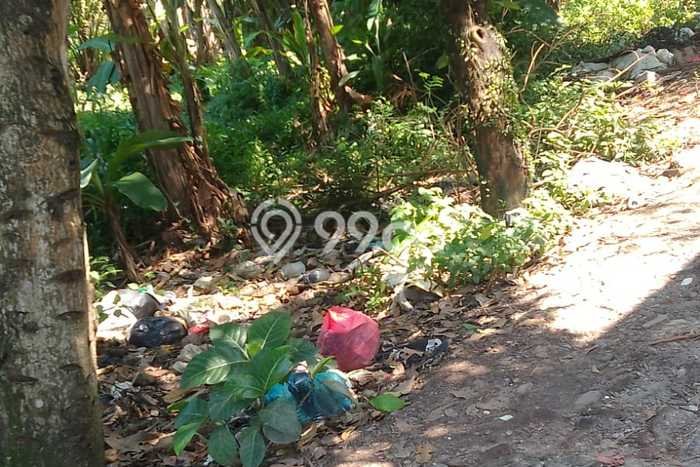 Tanah Kavling untuk Dijual di Pamulang Tangerang Selatan 192m2 Tanah Kavling untuk Dijual di Pamulang Tangerang Selatan 192m2