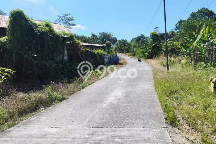 Jarang Ada! Tanah di Limbangan Punya Luas 190000m2 SHM Jarang Ada! Tanah di Limbangan Punya Luas 190000m2 SHM