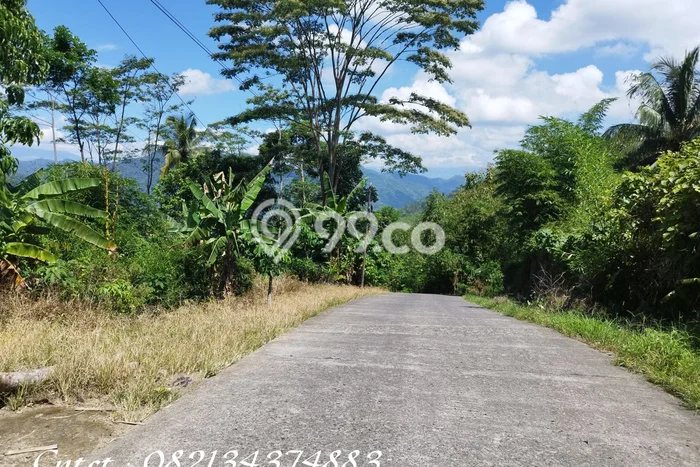 Jarang Ada! Tanah di Limbangan Punya Luas 190000m2 SHM Jarang Ada! Tanah di Limbangan Punya Luas 190000m2 SHM
