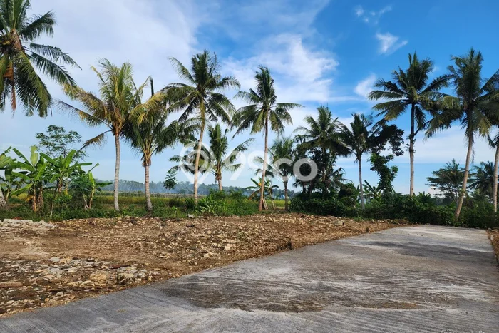 Tanah Kavling di Wates Dijual dengan Luas 120m2 Tanah Kavling di Wates Dijual dengan Luas 120m2