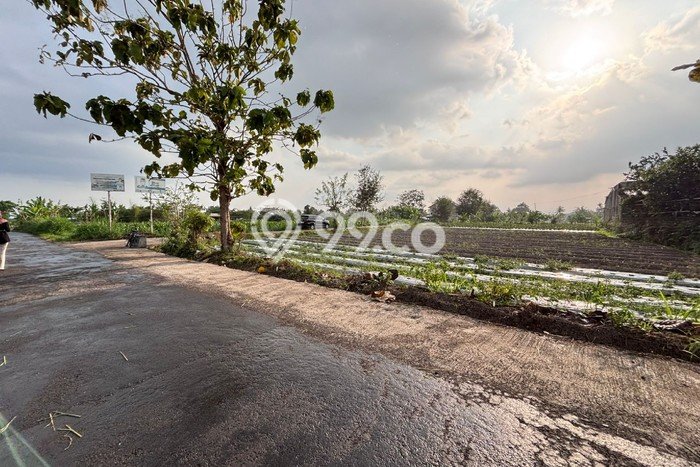 Tanah Dijual Lokasi Ngaglik, Sleman Luas 235m2 Legalitas Aman Tanah Dijual Lokasi Ngaglik, Sleman Luas 235m2 Legalitas Aman