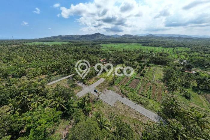 Tanah Dijual Lokasi Wates, Kulon Progo Luas 115m2 Legalitas Aman Tanah Dijual Lokasi Wates, Kulon Progo Luas 115m2 Legalitas Aman
