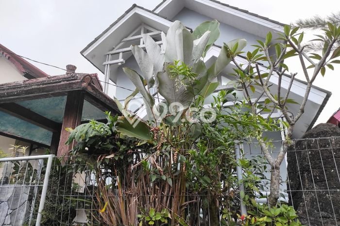 Jual Rumah Murah Meriah Cianjur Punya 4 Kamar & LT 189m2 Jual Rumah Murah Meriah Cianjur Punya 4 Kamar & LT 189m2