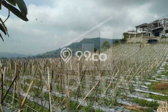Tanah Kosong Dijual di Bandung Barat dengan Area 334m2 Tanah Kosong Dijual di Bandung Barat dengan Area 334m2