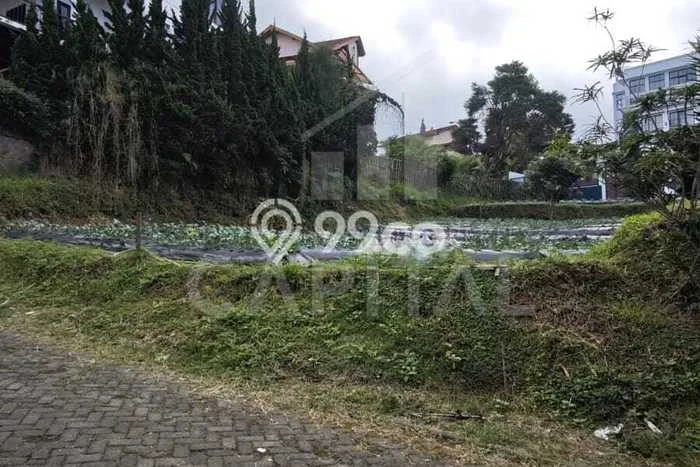 Tanah Dijual Lokasi Lembang, Bandung Barat Luas 361m2 Legalitas Aman Tanah Dijual Lokasi Lembang, Bandung Barat Luas 361m2 Legalitas Aman