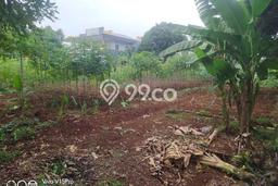 Kavling Tanah Dijual di Gunung Sindur Bogor Spesifikasi 2190m2 Kavling Tanah Dijual di Gunung Sindur Bogor Spesifikasi 2190m2