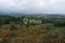 Lahan untuk Dijual Lokasi Sukamakmur, Bogor Luas 240000m2 SHM Lahan untuk Dijual Lokasi Sukamakmur, Bogor Luas 240000m2 SHM