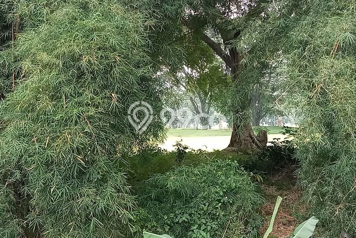Tanah Kosong Dijual di Bogor dengan Area 84m2 Tanah Kosong Dijual di Bogor dengan Area 84m2