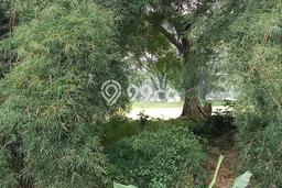 Lahan Strategis di Babakan Madang Dijual dengan Luas 84m2 Lahan Strategis di Babakan Madang Dijual dengan Luas 84m2