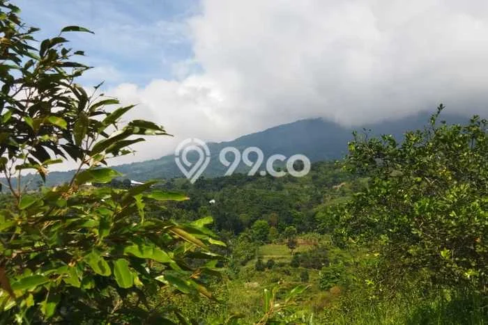 Lahan untuk Dijual Lokasi Cijeruk, Bogor Luas 20000m2 SHM Lahan untuk Dijual Lokasi Cijeruk, Bogor Luas 20000m2 SHM