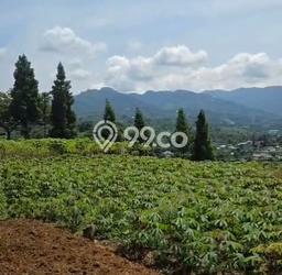 Lahan Strategis di Megamendung Dijual dengan Luas 2000m2 Lahan Strategis di Megamendung Dijual dengan Luas 2000m2