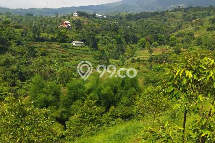 Lahan untuk Dijual Lokasi Cijeruk, Bogor Luas 20000m2 SHM Lahan untuk Dijual Lokasi Cijeruk, Bogor Luas 20000m2 SHM