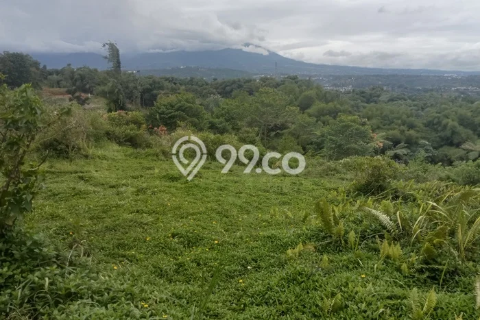 Tanah Dijual Area Strategis di Summarecon Bogor Bogor 5000m2 Tanah Dijual Area Strategis di Summarecon Bogor Bogor 5000m2