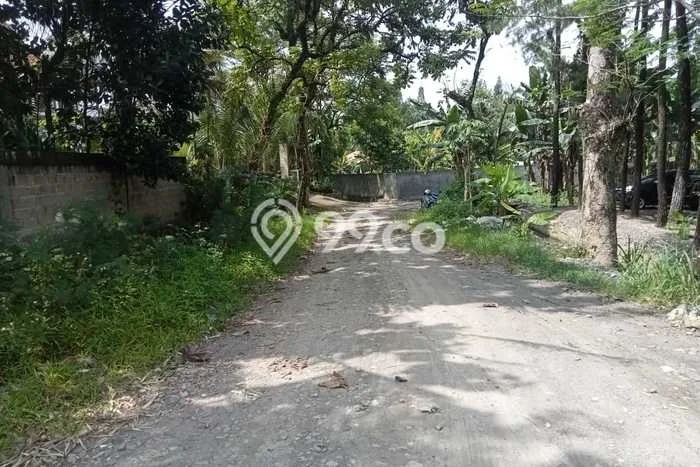 Jarang Ada! Tanah di Babakan Madang Punya Luas 1362m2 SHM Jarang Ada! Tanah di Babakan Madang Punya Luas 1362m2 SHM