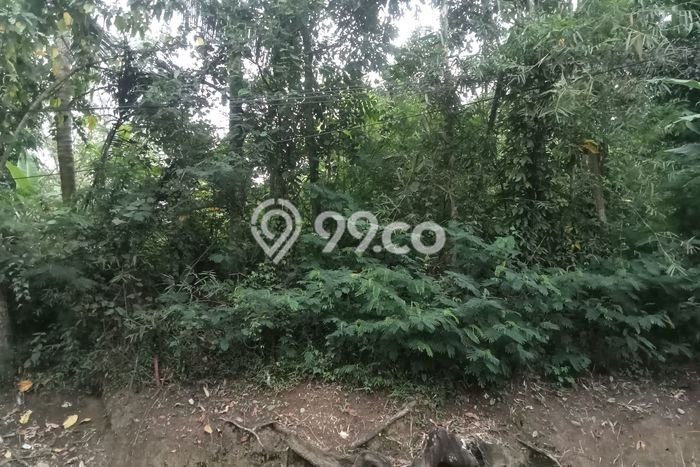 Tanah Dijual Lokasi Cikembar Sukabumi SHM Tanah Dijual Lokasi Cikembar Sukabumi SHM