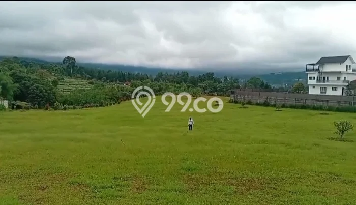Jarang Ada! Tanah di Megamendung Punya Luas 7000m2 Hak Pakai Jarang Ada! Tanah di Megamendung Punya Luas 7000m2 Hak Pakai