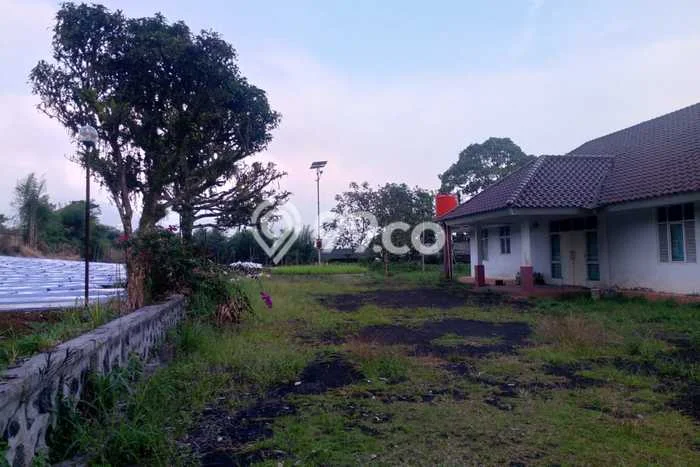 Jarang Ada! Tanah di Megamendung Punya Luas 3865m2 Hak Pakai Jarang Ada! Tanah di Megamendung Punya Luas 3865m2 Hak Pakai
